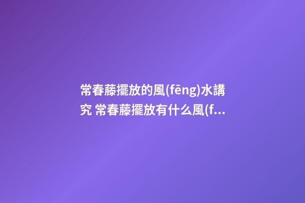常春藤擺放的風(fēng)水講究 常春藤擺放有什么風(fēng)水講究